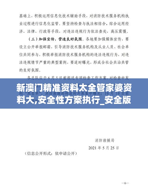 新澳门精准资料太全管家婆资料大,安全性方案执行_安全版YBI13.66