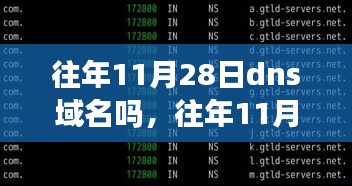 往年11月28日DNS域名变迁，铸就学习与成就的自信心之路