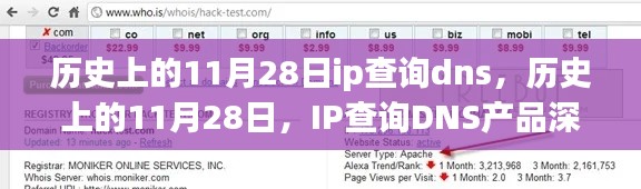 历史上的11月28日IP查询DNS产品深度评测及评测报告