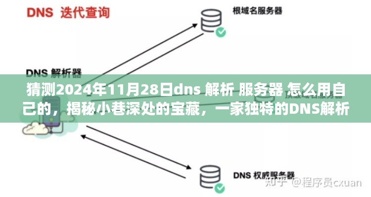 揭秘独特DNS解析小店的未来之路，技术革新与小巷深处的宝藏探索，如何预见并应用DNS解析服务器于2024年？