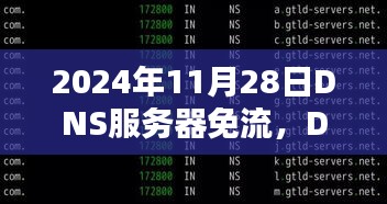 2024年DNS服务器免流日，爱的连接与温馨陪伴