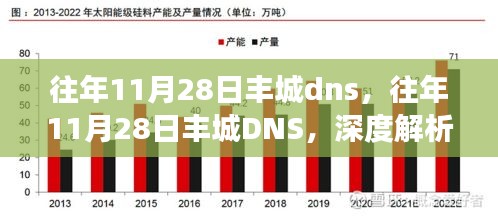 往年11月28日丰城DNS深度解析与发展趋势展望