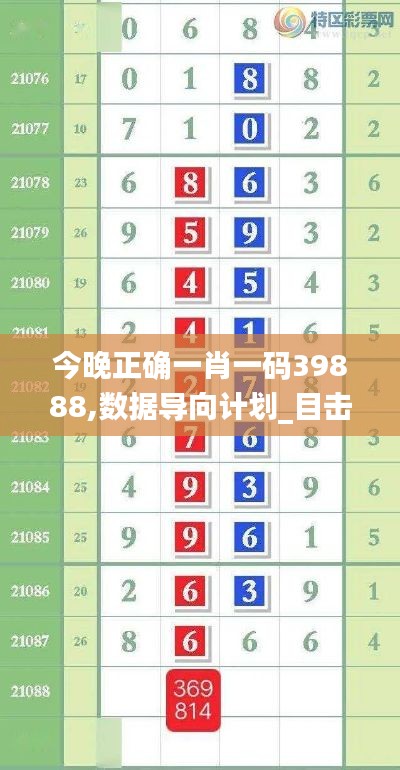 今晚正确一肖一码39888,数据导向计划_目击版ZMG35.370