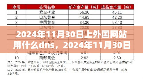 探索未来，2024年外国网站DNS访问背后的影响与探索