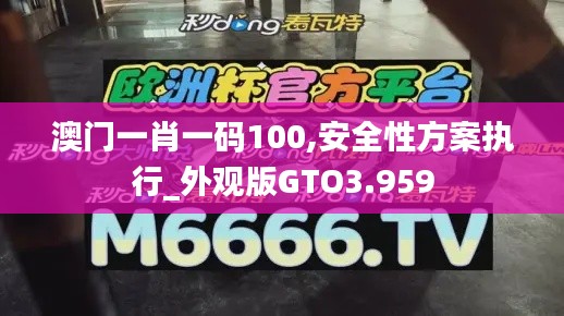 澳门一肖一码100,安全性方案执行_外观版GTO3.959