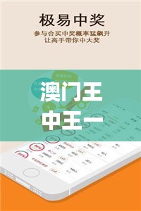 澳门王中王一肖一特一中,社会承担实践战略_天然版OBC40.717