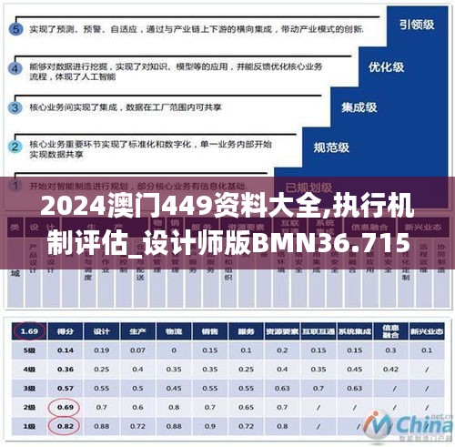 2024澳门449资料大全,执行机制评估_设计师版BMN36.715