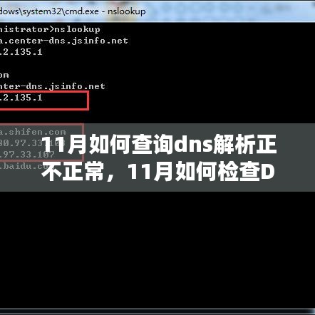 11月DNS解析检查指南，如何判断DNS解析是否正常