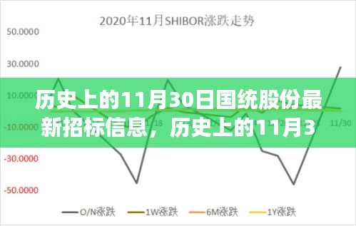 国统股份最新招标信息详解与操作指南，历史11月30日招标概览与操作策略分析