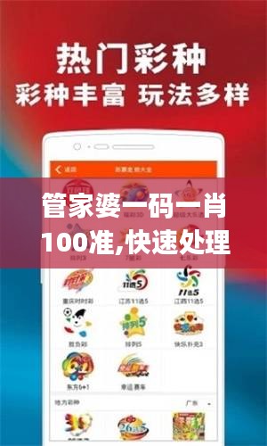 管家婆一码一肖100准,快速处理计划_特色版XQH46.544