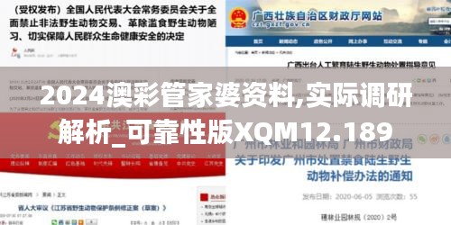 2024澳彩管家婆资料,实际调研解析_可靠性版XQM12.189