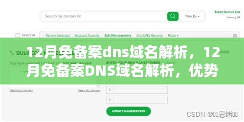 探讨，12月免备案DNS域名解析的优势与隐患