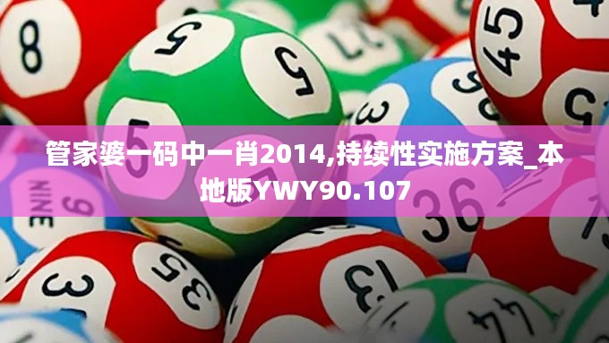 管家婆一码中一肖2014,持续性实施方案_本地版YWY90.107