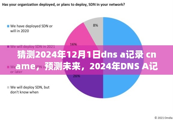 2024年DNS A记录与CNAME变革，预测未来DNS a记录 cname的发展及影响分析