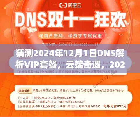 揭秘未来，云端奇遇与DNS解析VIP套餐的预测之旅（2024年12月1日）