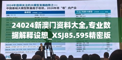 24024新澳门资料大全,专业数据解释设想_XSJ85.595精密版