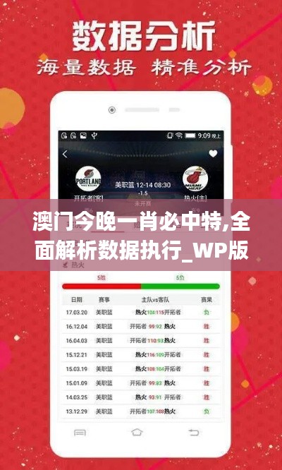 澳门今晚一肖必中特,全面解析数据执行_WP版31.146