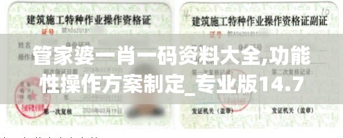 管家婆一肖一码资料大全,功能性操作方案制定_专业版14.796