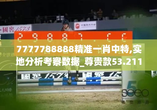 7777788888精准一肖中特,实地分析考察数据_尊贵款53.211