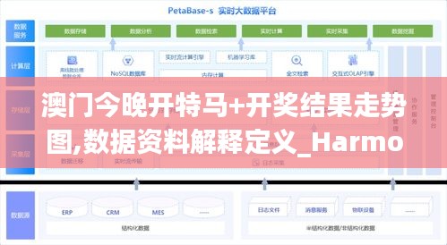 澳门今晚开特马+开奖结果走势图,数据资料解释定义_Harmony60.384