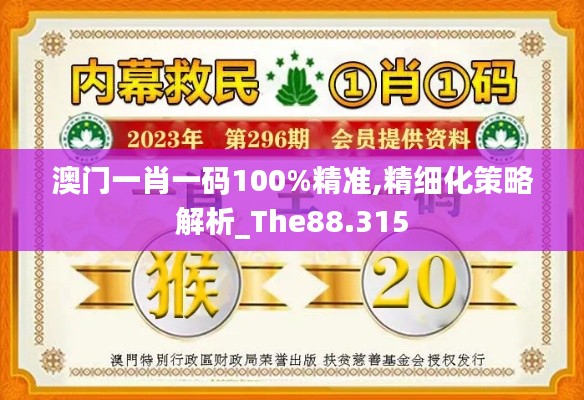 澳门一肖一码100%精准,精细化策略解析_The88.315