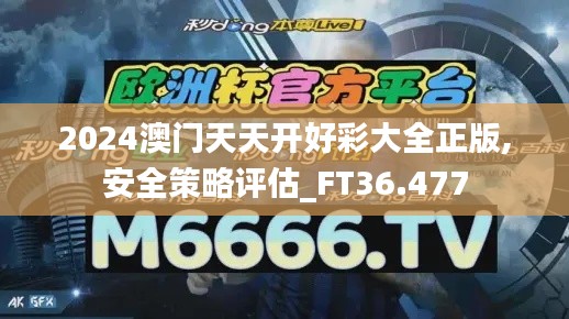 2024澳门天天开好彩大全正版,安全策略评估_FT36.477