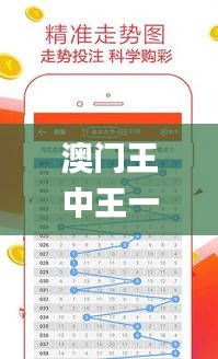 澳门王中王一肖一特一中,实地考察数据策略_促销版86.354