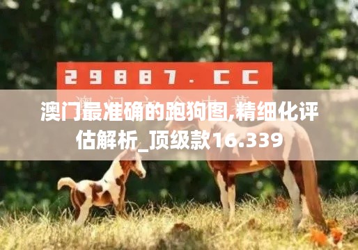 澳门最准确的跑狗图,精细化评估解析_顶级款16.339