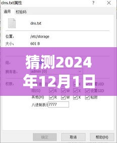 未来网络时代蓝图构想，2024年域名DNS规划与展望