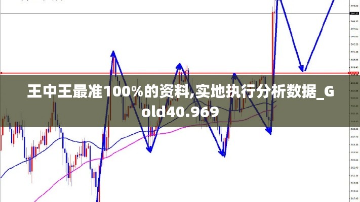 王中王最准100%的资料,实地执行分析数据_Gold40.969