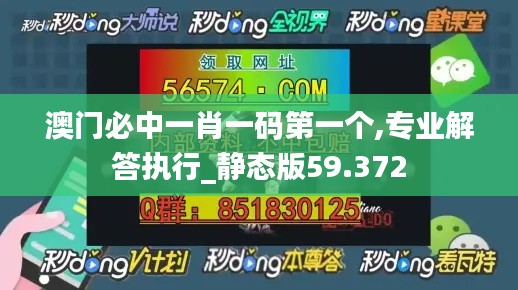 澳门必中一肖一码第一个,专业解答执行_静态版59.372