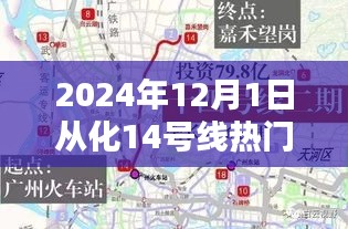 揭秘从化14号线热门消息，任务指南与技能进阶（2024年12月1日更新）