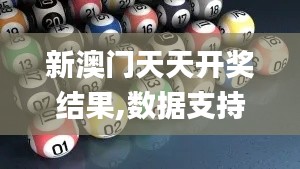 新澳门天天开奖结果,数据支持执行策略_适应型31.309