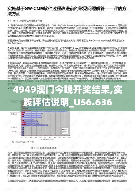 4949澳门今晚开奖结果,实践评估说明_U56.636