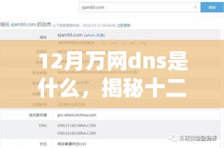 揭秘十二月万网DNS核心要点，解析、功能与优势