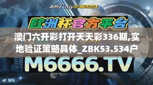 澳门六开彩打开天天彩336期,实地验证策略具体_ZBK53.534户外版