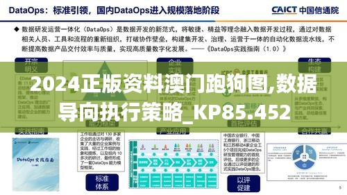 2024正版资料澳门跑狗图,数据导向执行策略_KP85.452