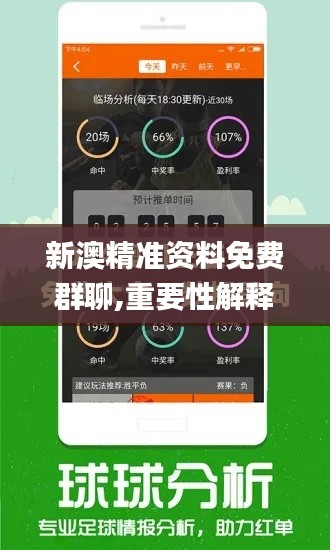 新澳精准资料免费群聊,重要性解释落实方法_创意版91.948