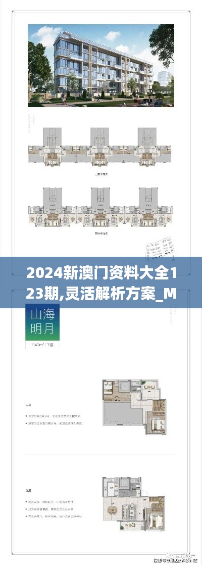 2024新澳门资料大全123期,灵活解析方案_M版76.420