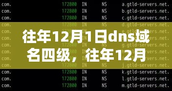 深度探讨与科普，往年12月1日的DNS域名四级解析与解析技术