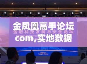 金凤凰高手论坛com,实地数据评估执行_zShop50.96