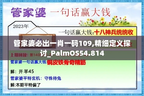 管家婆必出一肖一码109,精细定义探讨_PalmOS54.814