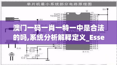 雅量高致 第2页