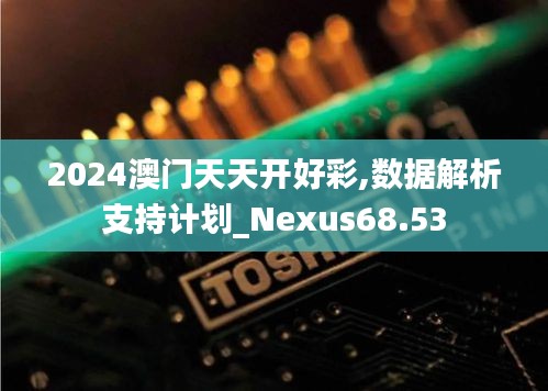 2024澳门天天开好彩,数据解析支持计划_Nexus68.53