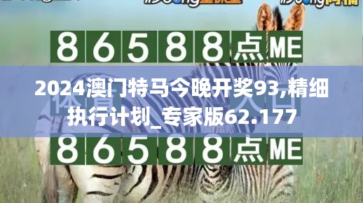 2024澳门特马今晚开奖93,精细执行计划_专家版62.177