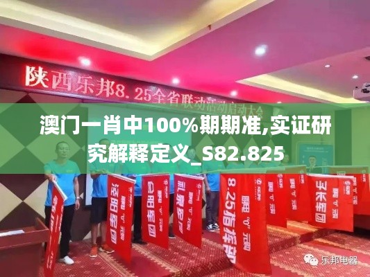 澳门一肖中100%期期准,实证研究解释定义_S82.825