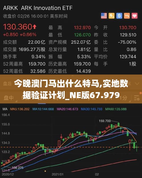 今晚澳门马出什么特马,实地数据验证计划_NE版67.979