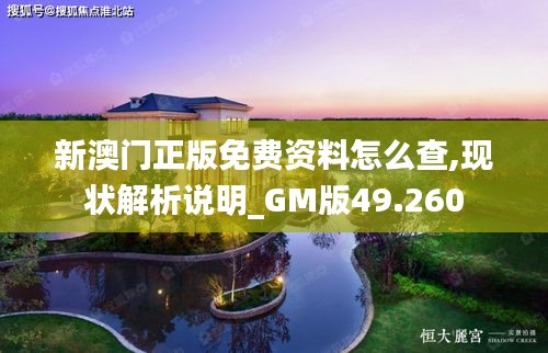 新澳门正版免费资料怎么查,现状解析说明_GM版49.260