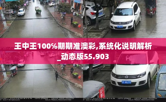 王中王100℅期期准澳彩,系统化说明解析_动态版55.903