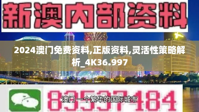 2024澳门免费资料,正版资料,灵活性策略解析_4K36.997